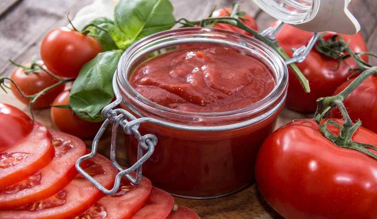  Buy The Latest Types of Tomato Paste Puree 