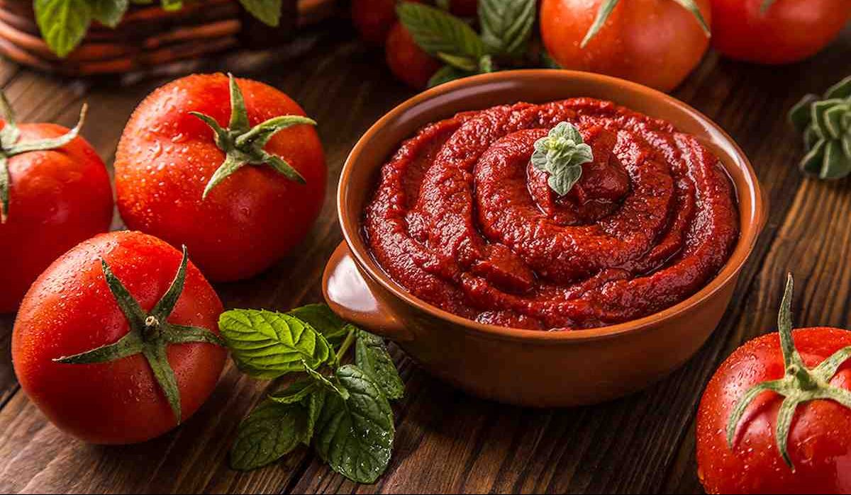  Buy canned tomato paste pie + great price 