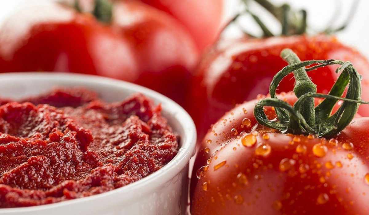  Buy best tomato paste +great price 