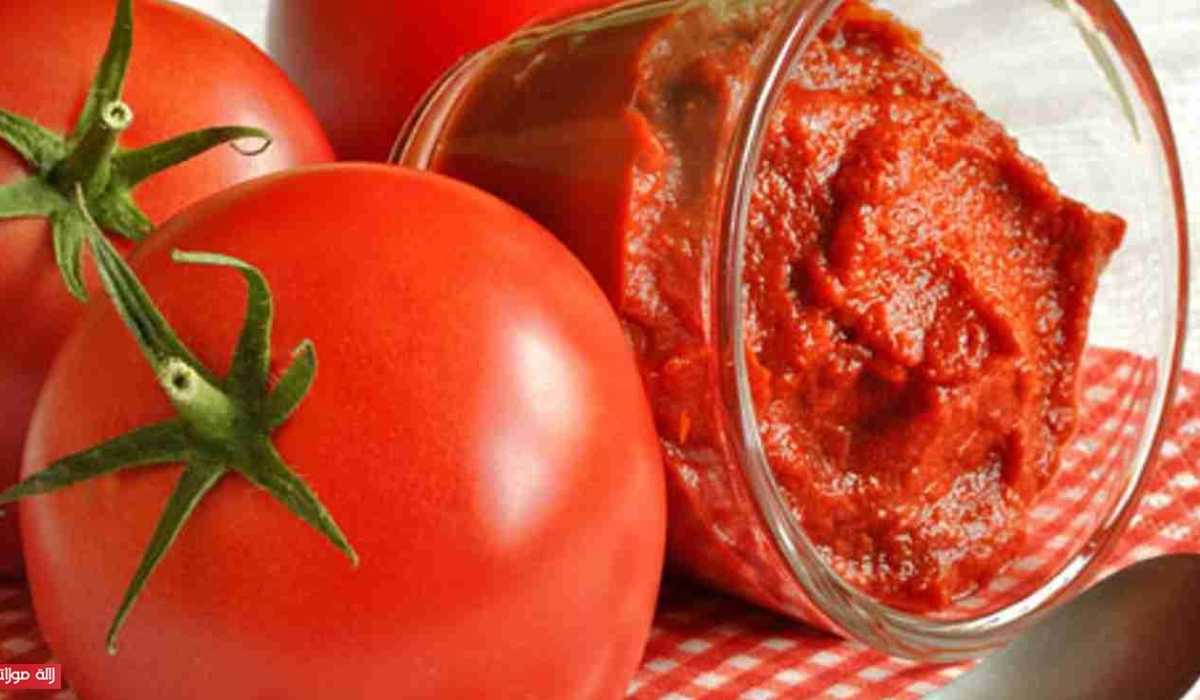  Buy best tomato paste +great price 