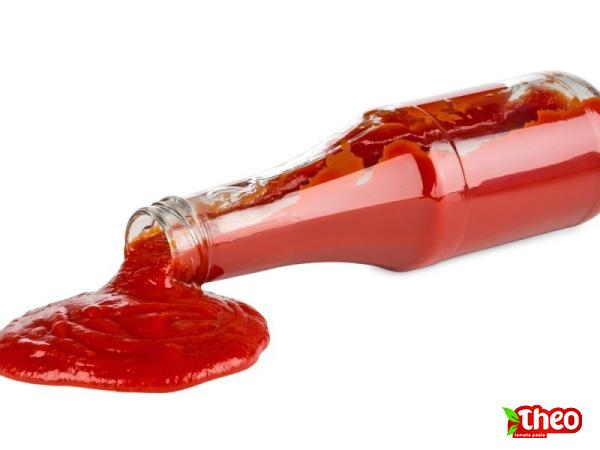 The purchase price of tomato paste tube + training